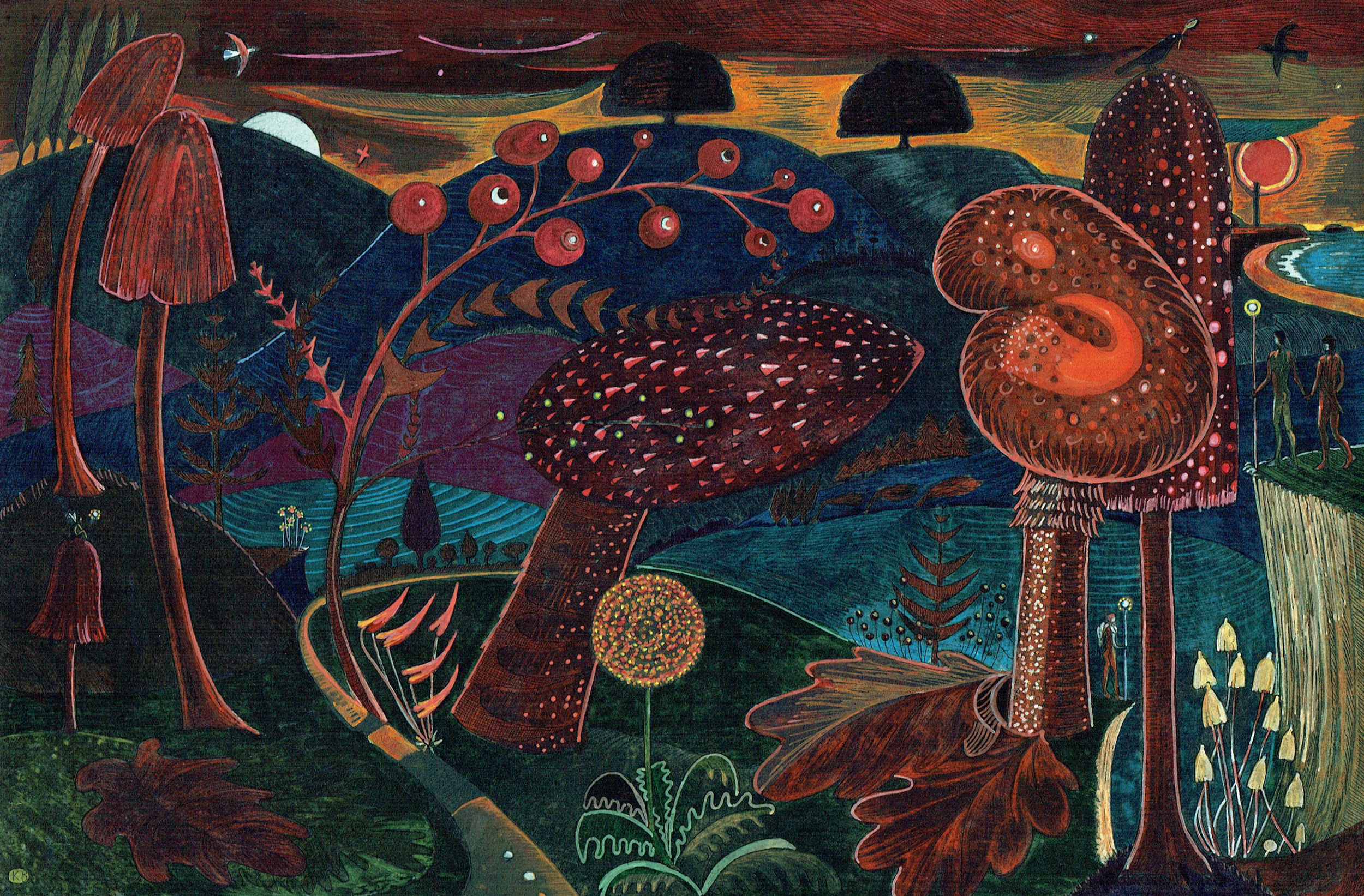 Kit Boyd Magic Mushrooms – Aflame